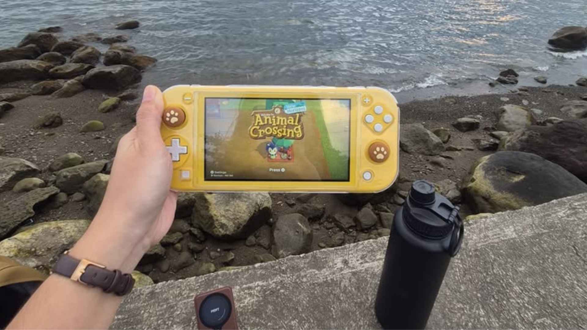 Stardew Valley Vs Animal Crossing Gameplay Comparison